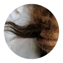 Damaged, Brittle Hair